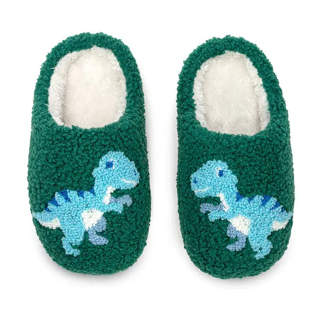 Living Royal Indoor / Outdoor Slippers - Kids - Blue Dinosaurs - Green