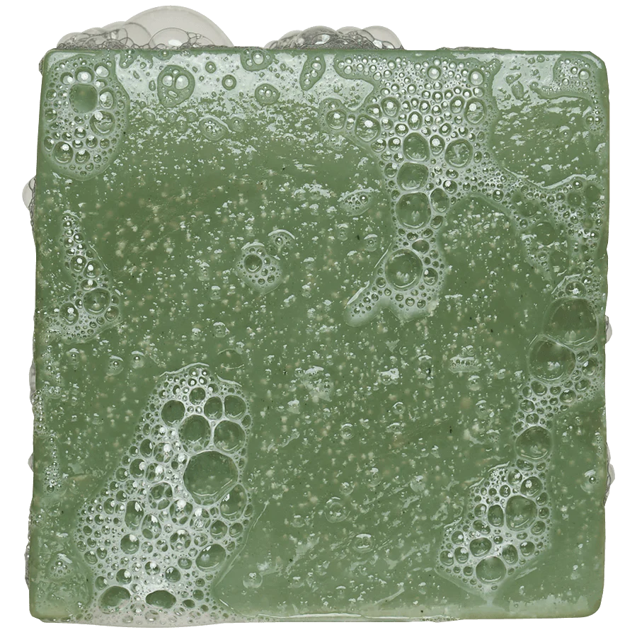 Dr. Squatch Bar Soap RAINFOREST RAPIDS