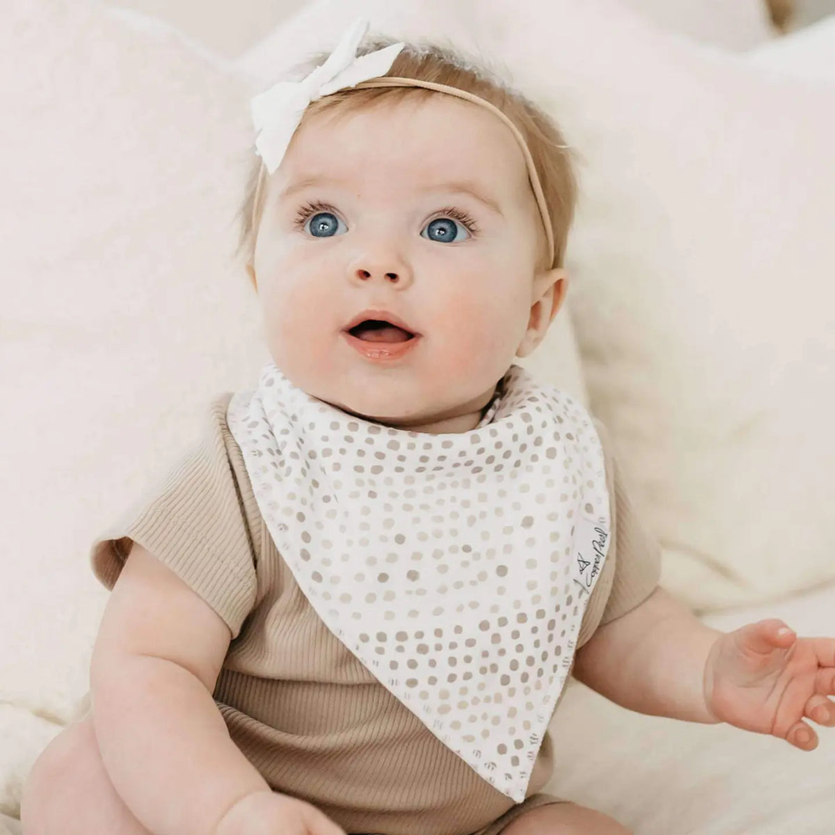 Copper Pearl 4 Pack Baby Bandana Bibs - Bliss