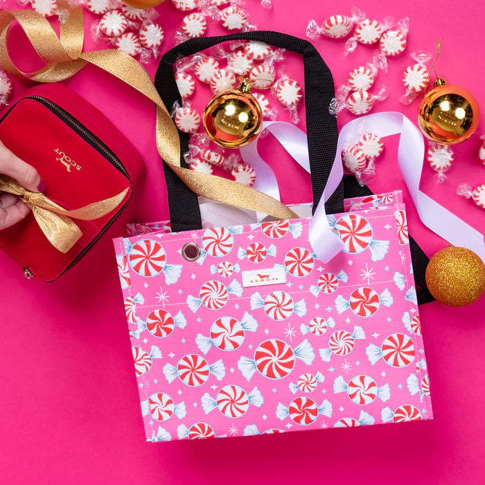 SCOUT GIFT BAG X-SMALL (TINY)-CANDYLAND
