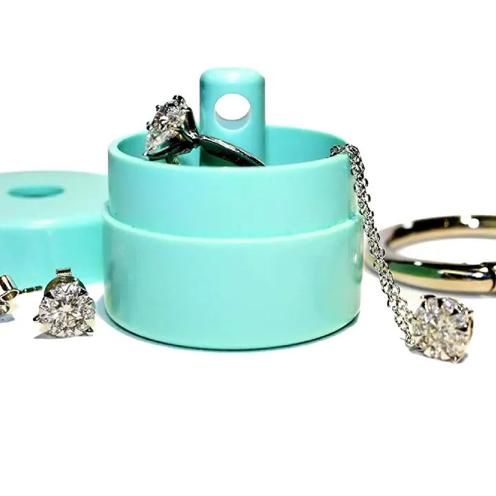 Mint Lion Latch Jewelry/Pill Tote