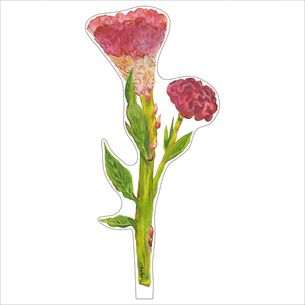 Kimberly Hodges Art and Design Cockscomb