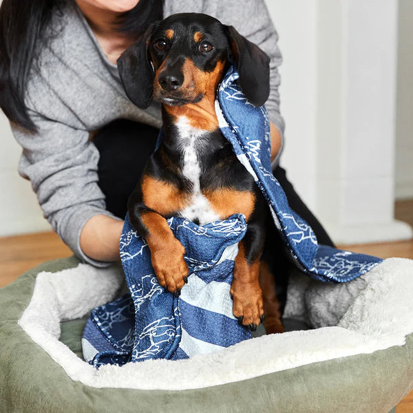 Dog & Bay - Towels for Pets - Puppy Party