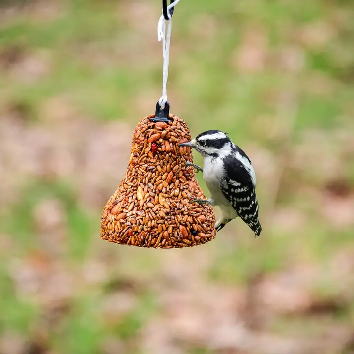 Mr. Bird Golden Safflower - Bell