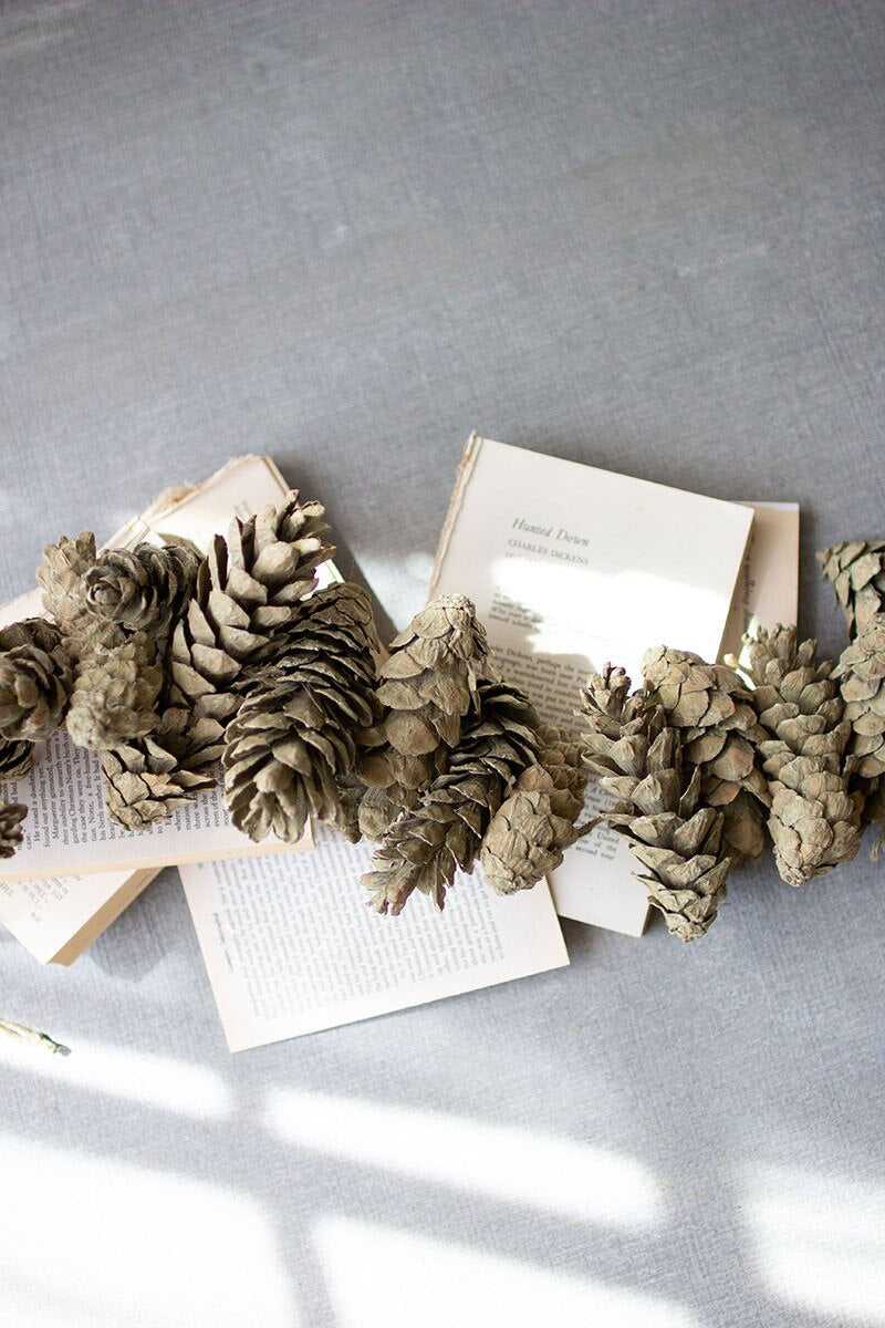 Kalalou Sage Pinecone Garland