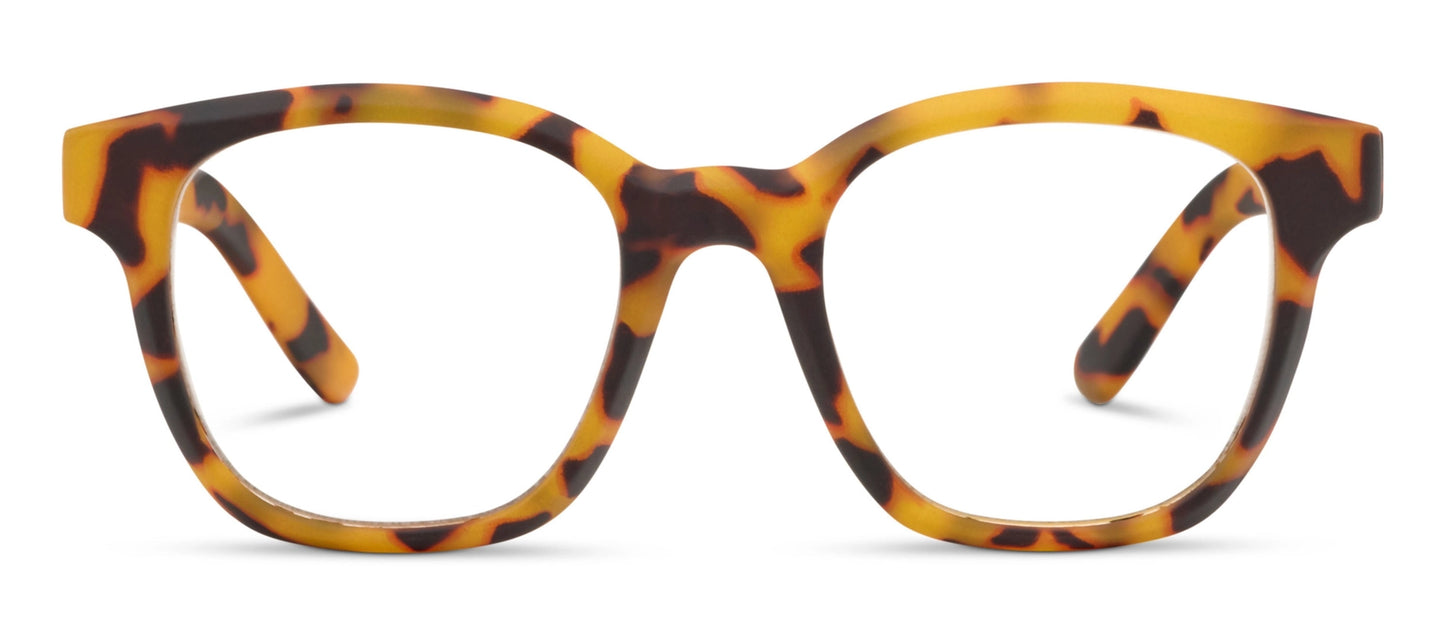 Peepers Zinnia (Blue Light)-Tokyo Tortoise