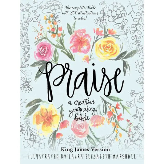 Praise: A Creative Journaling Bible By