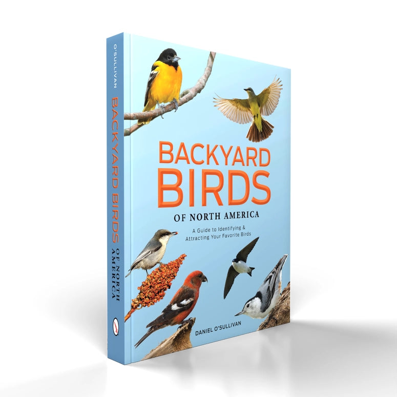 Backyard Birds of North America: Identify & Attract