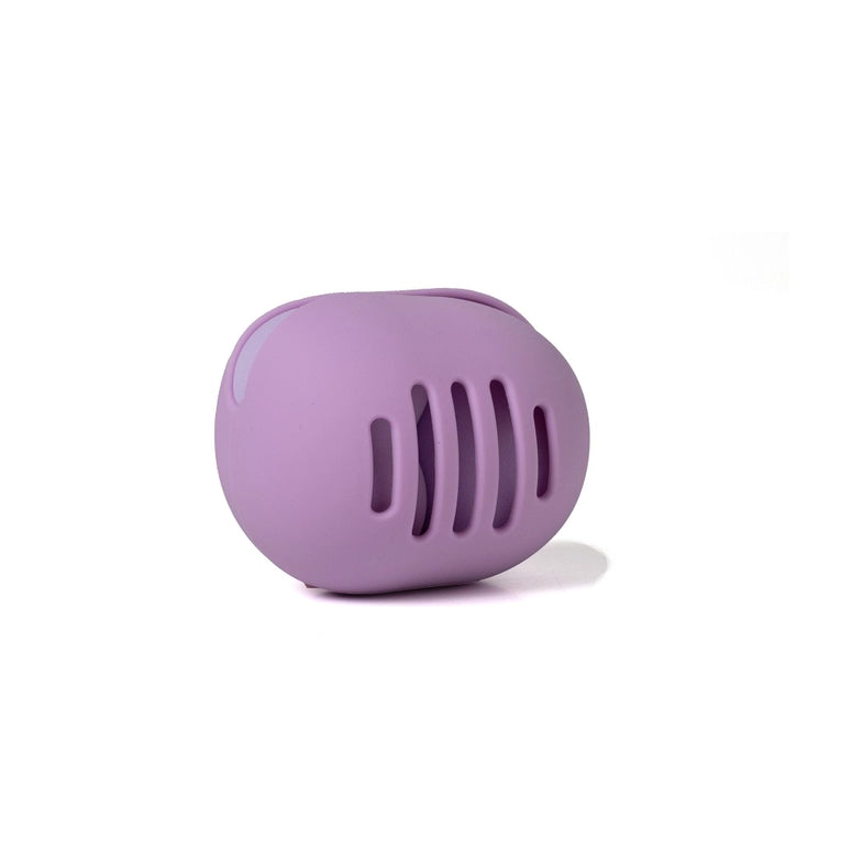 Lemon Lavender On A Blender Makeup Sponges and Case
