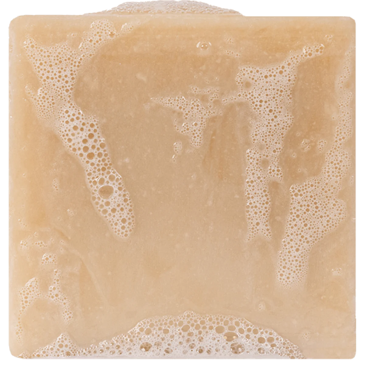 Dr. Squatch Bar Soap BAY RUM