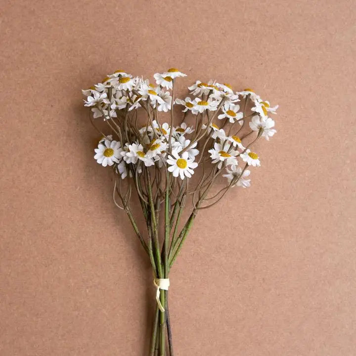 Kalalou Chamomile Bundle (6 Stems) - White
