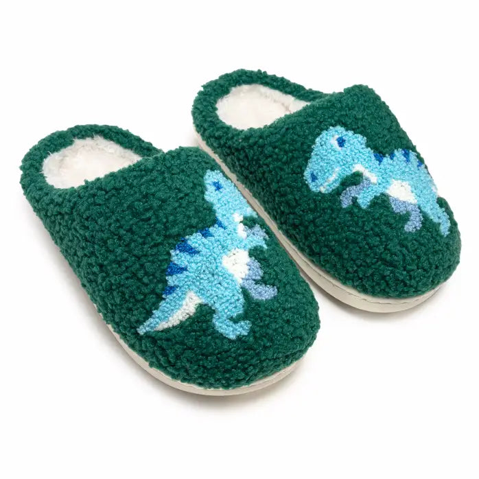 Living Royal Indoor / Outdoor Slippers - Kids - Blue Dinosaurs - Green