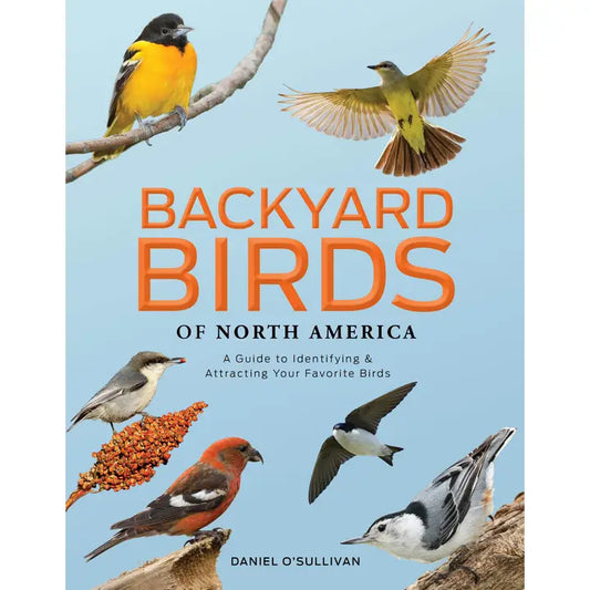 Backyard Birds of North America: Identify & Attract