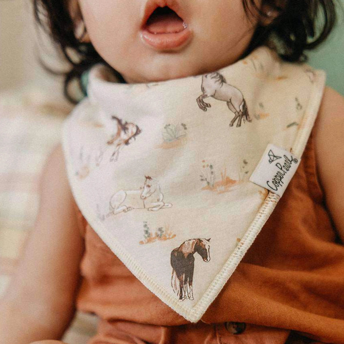 Copper Pearl 4 Pack Baby Bandana Bibs - Cheyenne