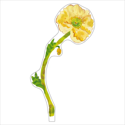 Kimberly Hodges Art and Design Pale Yellow Iceland Poppy