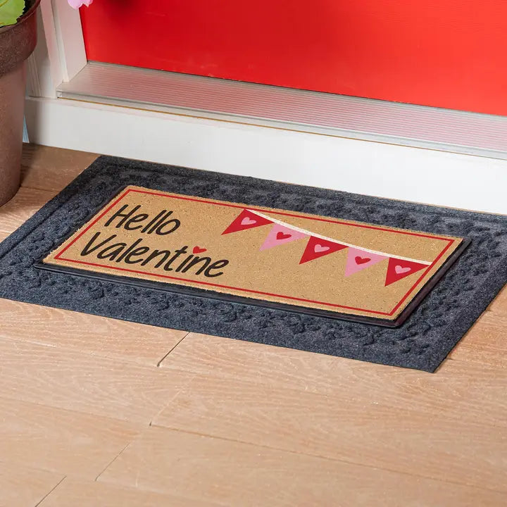 Evergreen Enterprises Hello Valentine Flocked Sassafras Coir Switch Mat