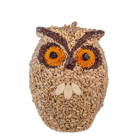 Mr Bird Whoo-Lio Owl