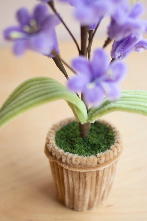 Kalalou Potted Pipe Cleaner Botanica