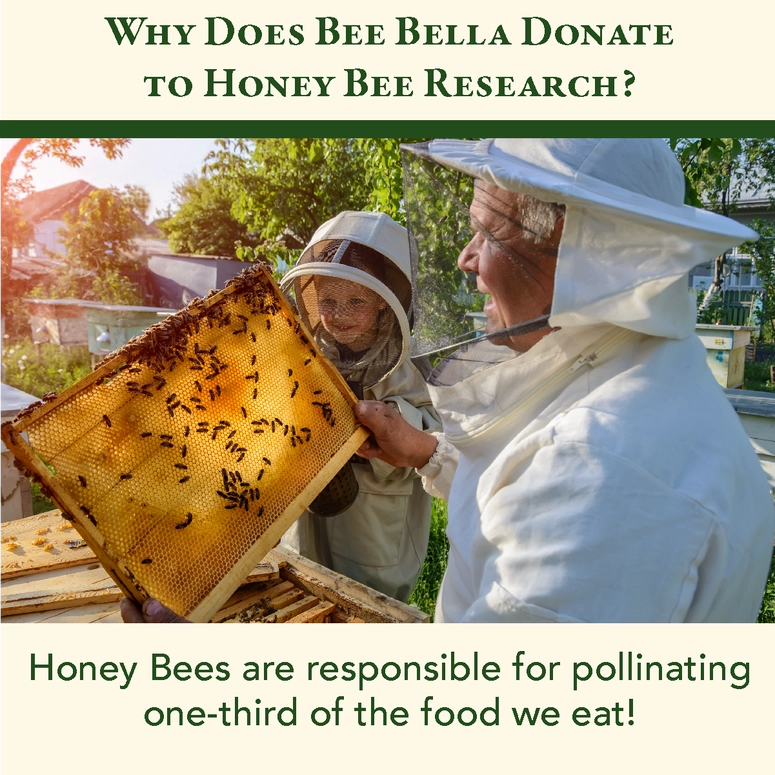 Bee Bella Pumpkin Spice Lip Balm