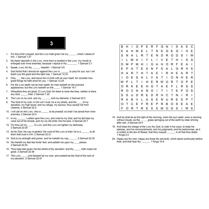 Bible Memory Verse Challenge Word Searches Large Print