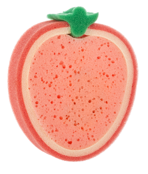 Fruit Sponge & Kitchen Towel Set