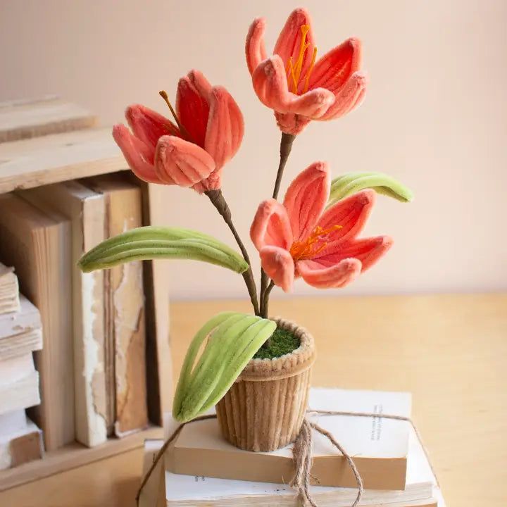Kalalou Potted Pipe Cleaner Botanica