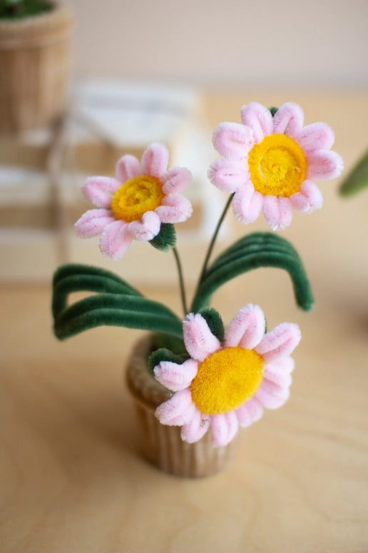 Kalalou Potted Pipe Cleaner Botanica