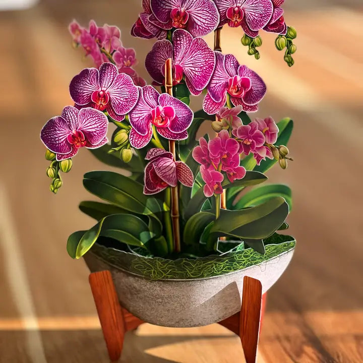 Freshecut Paper Orchid Oasis Pop-Up Flower Bouquet