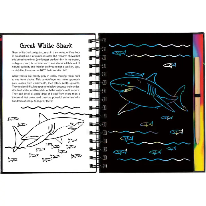 Sharks Scratch and Sketch