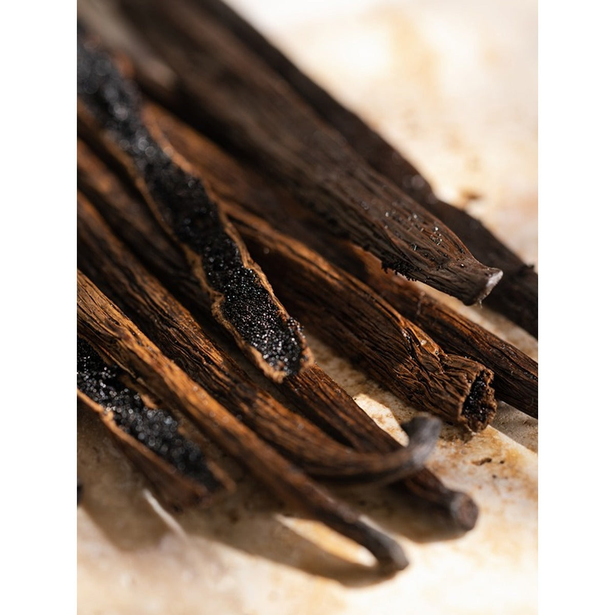 PURA SCENTS Vanilla - Smart Vial (Simplicity by Pura)