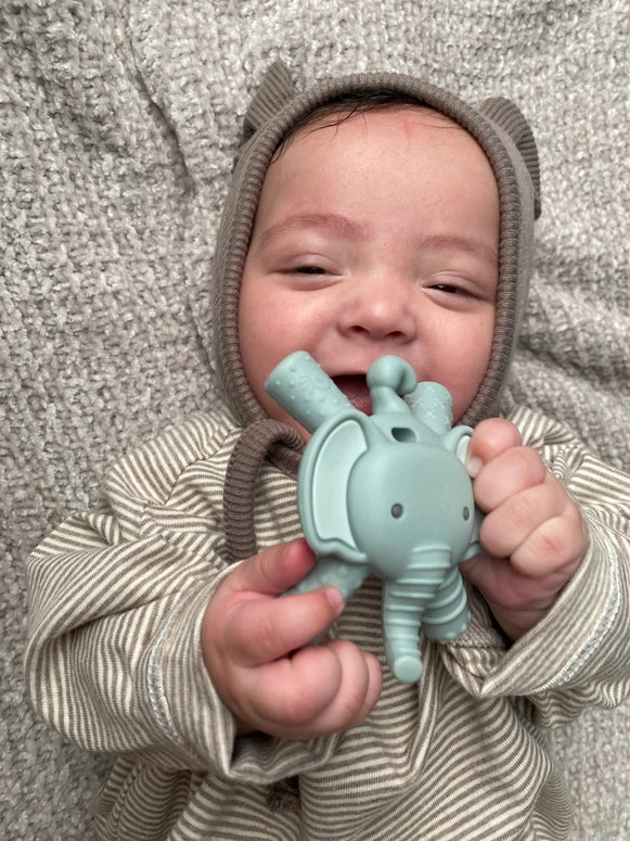 Itzy Ritzy Teether™ Baby Molar Teether