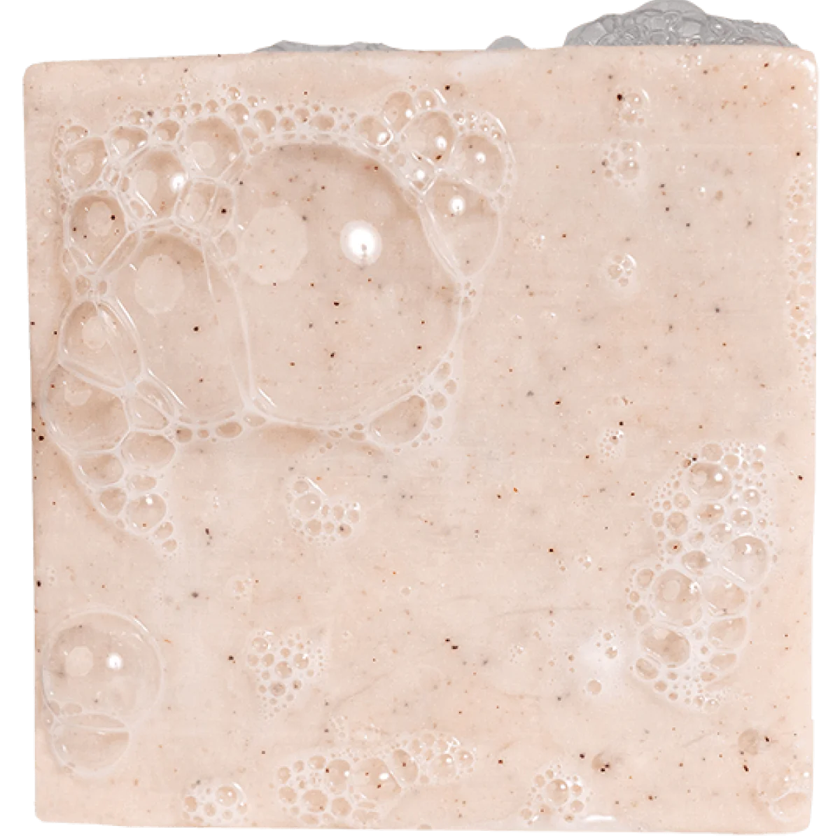 Dr. Squatch Bar Soap BIRCHWOOD BREEZE