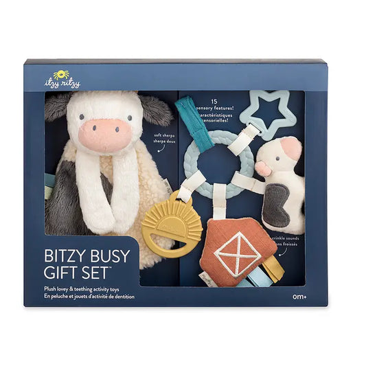 Itzy Ritzy Bitzy Busy Gift Set™