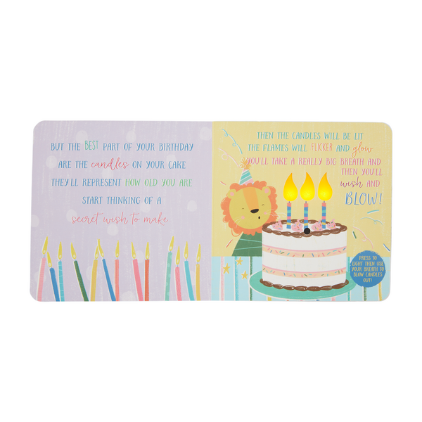 MUD PIE BIRTHDAY BOARD BOOK