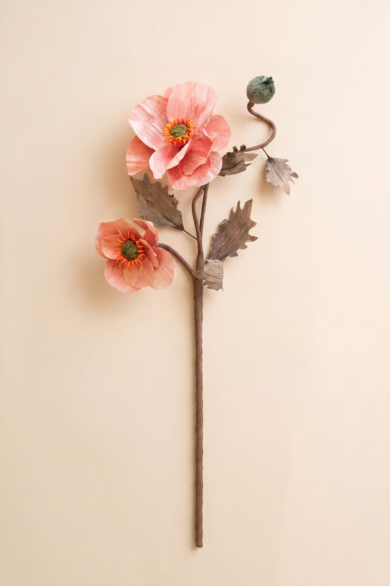 Kalalou Botanica #2889