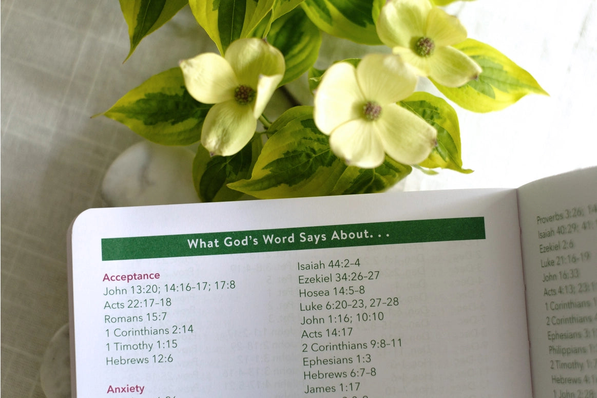 Read Through the Bible in A Year Planner: 2026 Edition