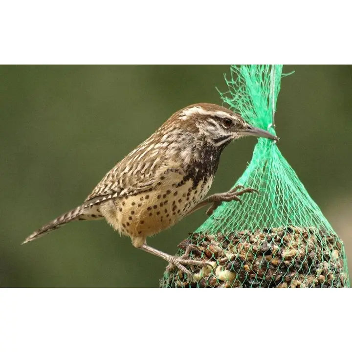 Mr. Bird Wildbird Feast Cylinder - Small