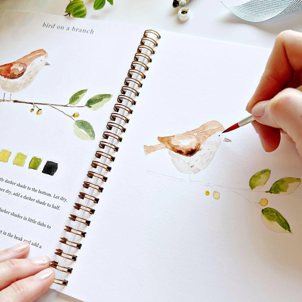 Emily Lex Studio Animals Watercolor Workbook