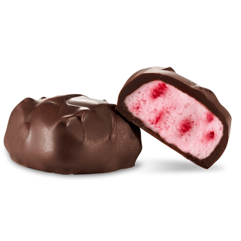 Abdallah Raspberry Sorbet – Dark Chocolate