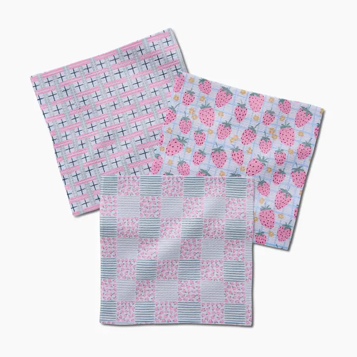 Geometry Spring Picnic Day Dishcloth Set