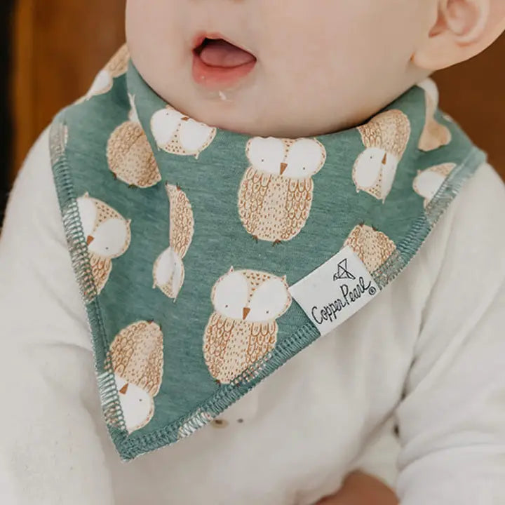 Copper Pearl Baby Bandana Bibs - Ivy