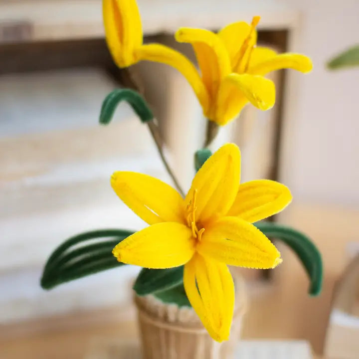 Kalalou Potted Pipe Cleaner Botanica