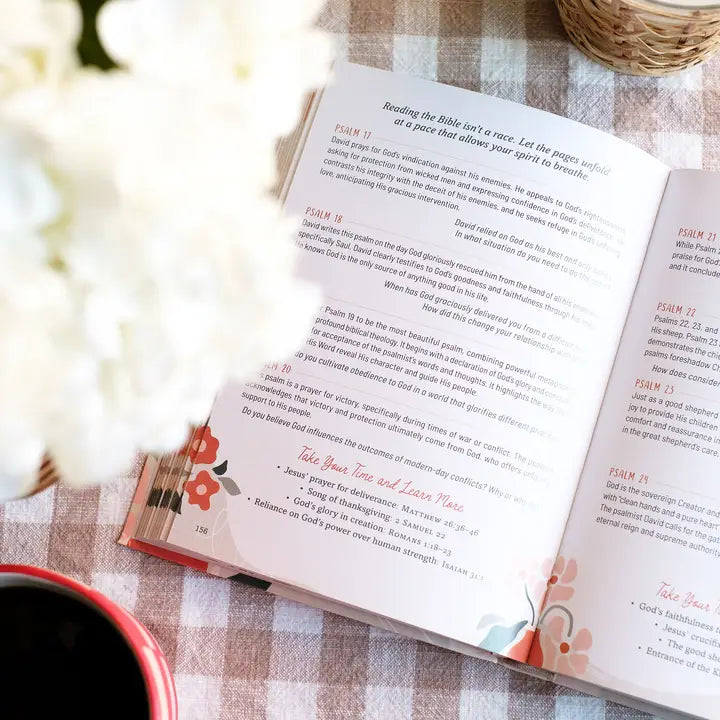 Taking Your Time Through the Bible