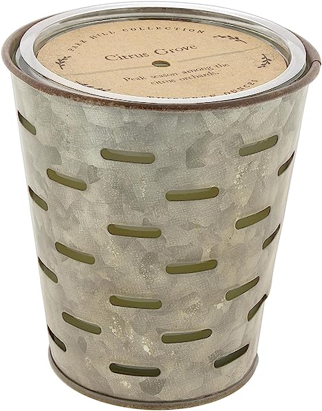 Park Hill Scented Candle ('Citrus Grove')