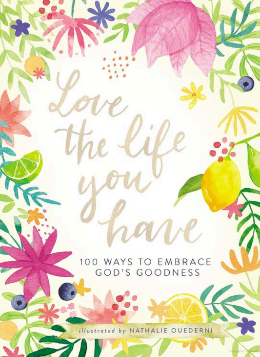 Love the Life You Have: 100 Ways to Embrace God's Goodness Book