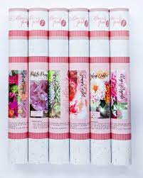 Pink Picasso Paint By Number Kits
